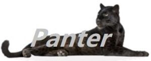 Panter